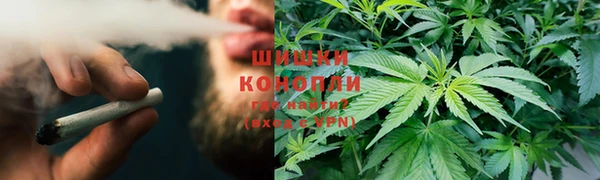 прущая мука Каменка