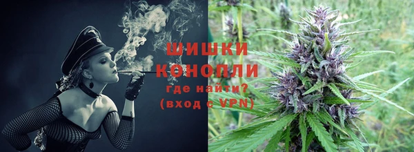 прущая мука Каменка