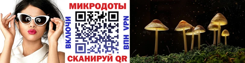 Псилоцибиновые грибы ЛСД  Купить  Новоалтайск 